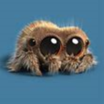 Spider Republic!