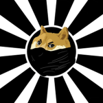 DOGE ANARCHY.