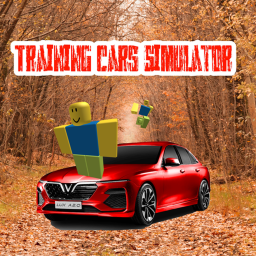 Training Cars Simulator