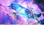 Wolfpack’s
