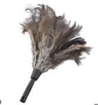 feather duster