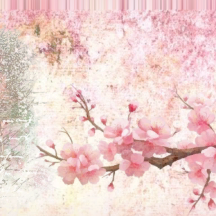 Pink White Aesthetic Cherry Blossom Background