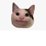 The Polite Cat Empire