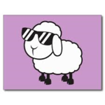 Sheepy's Clothing Group