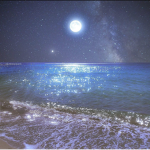 My little oceans