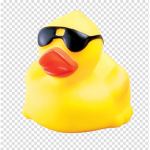 cringy drip ducks