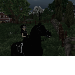 The starstable group