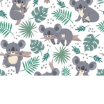 Koala’s are the best animal