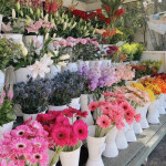 ⋅🥽 ⭑• ｡・