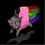 Fans Of Nyan Cats