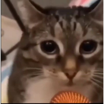 удалил роблокс лол