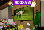 Brookhaven News
