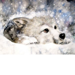 cute wolf crew
