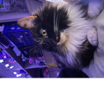 Mëow Squad