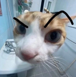 davam robuxi za pety v adopt me