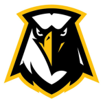 Night Eaglеs