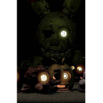 Hello welcome freddy