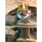 bubbles cluub
