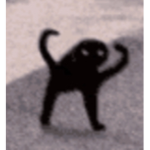 Cat Millitary