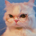 은달