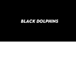 Black Dolphins