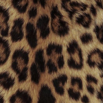 ~ løvely ~