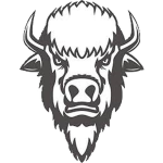 Bisons United