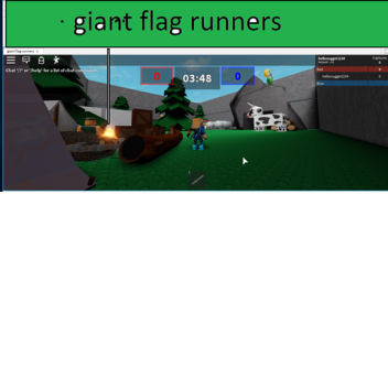 giant flag runners