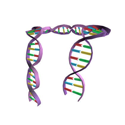 DNA Scarf