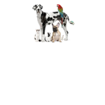 Pet Club! (And group for animals in general)