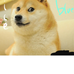 The Bluecraft and iceberg fan group