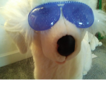 Super snappy