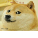Gang doggy
