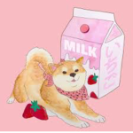 Strawberry shiba
