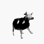 Need a Cow?