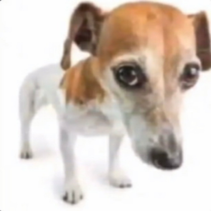 Timmy the dog Roblox decal