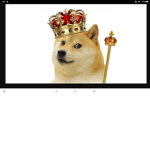 Warrior's of doge kingdom