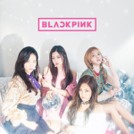 ~>Black Pink Fan Group<~