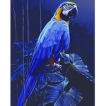 Parrot Bros