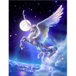 The Horses of the Sky
