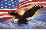 II USA II The Supreme Court II USA II