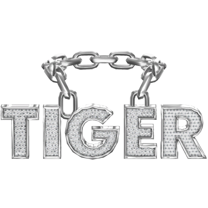 Tiger Silver Chain Roblox item