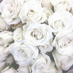 My Lovely Gem's <3