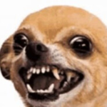 Roblox pro games Group