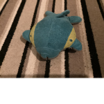 The group of a dolphin