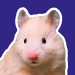 hamster nation the real