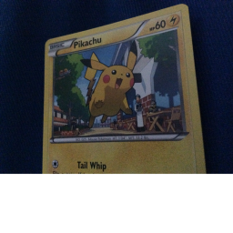 Elite Pokémon fan club's Place Number: 1