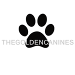 TheGoldenCanines
