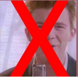 NO RICKROLL TRUST ME