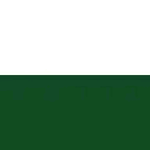 [NGB] Kingdom of Saxony